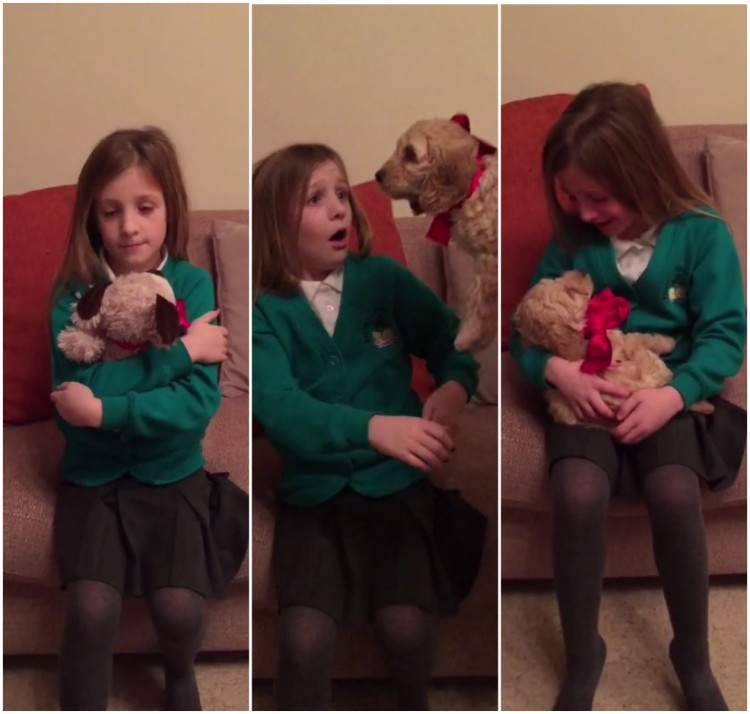 Vídeo mostra reação de criança ao ganhar cachorro; clique na imagem para assistir (Foto: Reprodução/ Rumble)