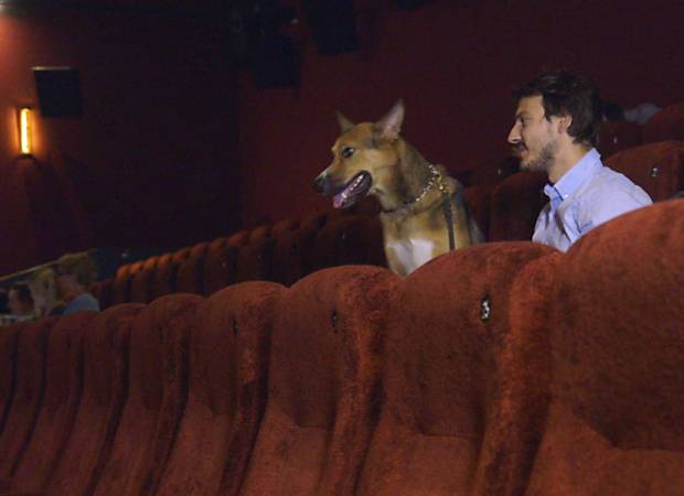 Cinema permite entrada de cães em Londres; clique e assista a video da BBC