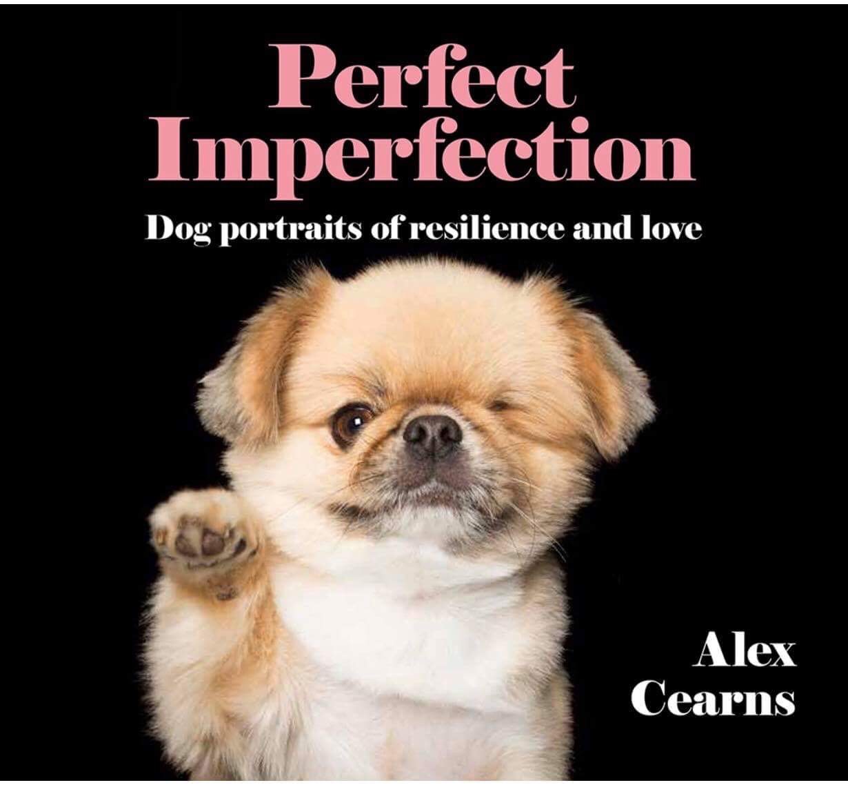 Capa do livro “Perfect Imperfection”