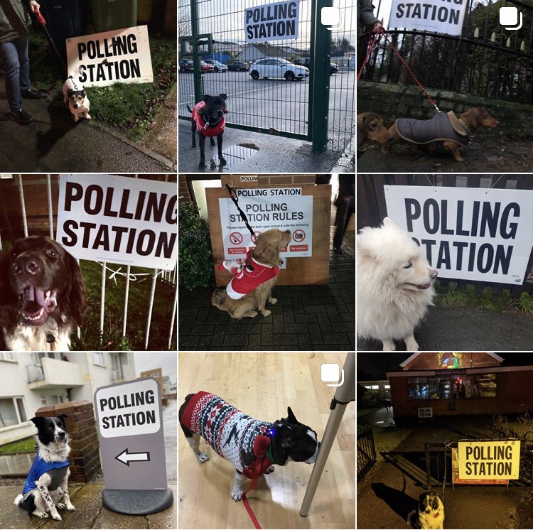 Imagens publicadas com a hashtag #dogsatpollingstations (Instagram)