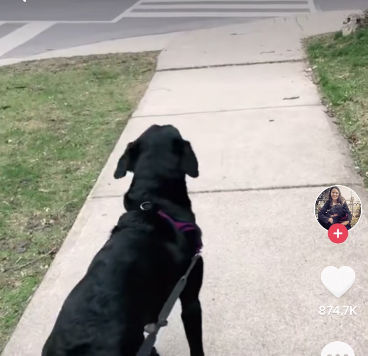 Samantha ao perceber o amigo do outro lado da rua; clique na imagem para ver o vídeo